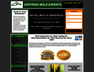 certifiedmoldexpert.com screenshot
