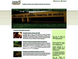 cesvo.org.mx screenshot