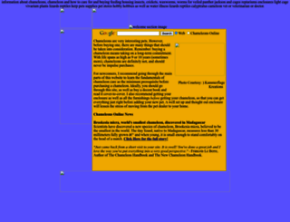 chameleonsonline.com screenshot