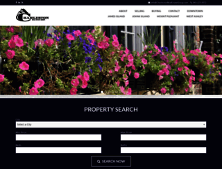 charlestonrealestategroup.com screenshot