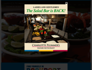 charlotteplummers.com screenshot