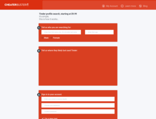 cheaterbuster.net screenshot