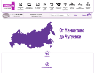 chelny.terminal.ru screenshot