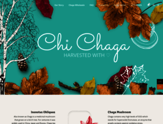 chichaga.com screenshot