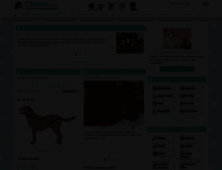chien.com screenshot