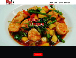 chinadragonpa.com screenshot