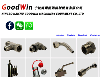 chinahydraulicfitting.com screenshot