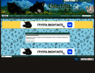 chinclub.ru screenshot