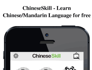 chinese-skill.com screenshot