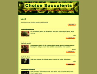 choicesucculents.com.au screenshot