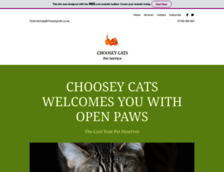 chooseycats.co.uk screenshot