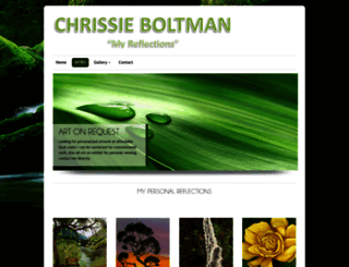 chrissieboltman.co.za screenshot