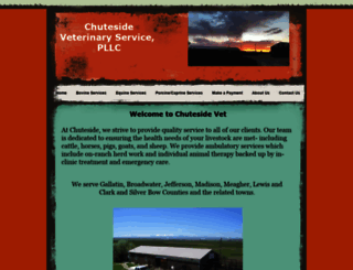 chutesidevet.com screenshot