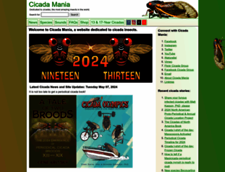 cicadamania.com screenshot