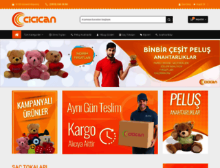cicican.com.tr screenshot