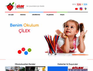 cilekanaokulu.com screenshot