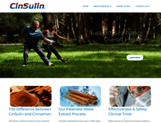 cinsulin.com screenshot