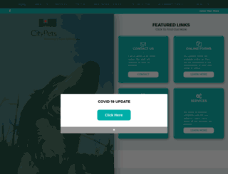 citypetsvet.com screenshot