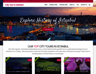 citytourinistanbul.com screenshot