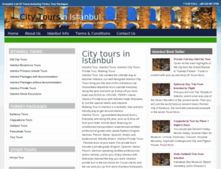 citytoursinistanbul.com screenshot