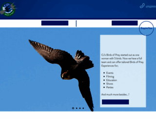 cjsbirdsofprey.co.uk screenshot