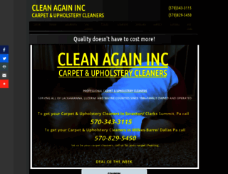 cleanagaininc.com screenshot