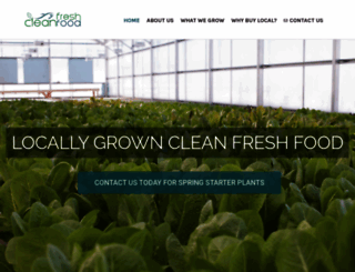 cleanfreshfood.com screenshot