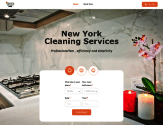 cleaningservicenyc.com screenshot