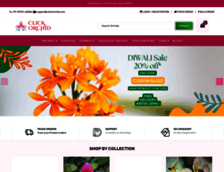 clickorchid.com screenshot