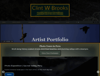clintwbrooks.com screenshot