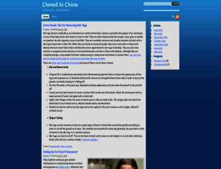 clonedinchina.com screenshot