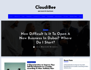 cloudibee.com screenshot