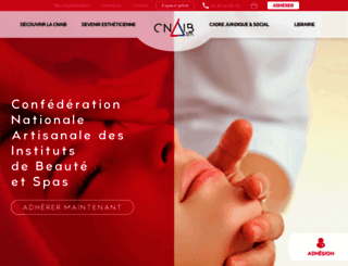 cnaib.fr screenshot