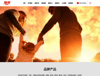 cngangxing.com screenshot