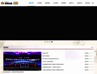 cnkg.com.cn screenshot