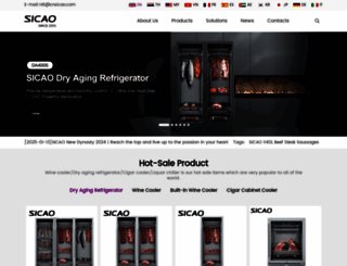 cnsicao.com screenshot