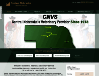 cnvs.com screenshot