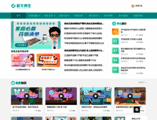cnys.com screenshot
