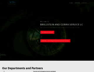 cobra-systems.com screenshot