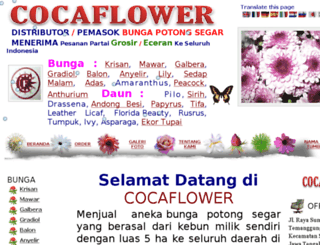 cocaflower.com screenshot