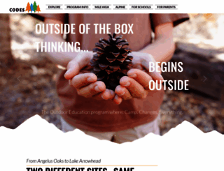 codesschool.com screenshot