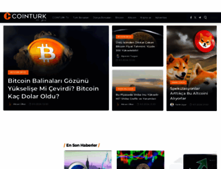 coin-turk.com screenshot