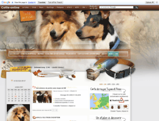 collie-online.com screenshot
