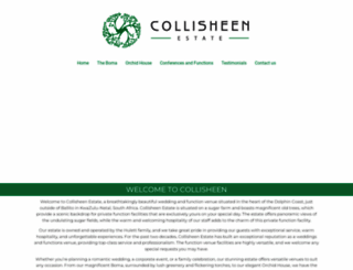 collisheen.co.za screenshot