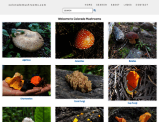coloradomushrooms.com screenshot