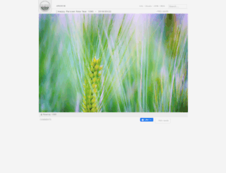 colorain.com screenshot