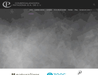 com-patagonia.com.mx screenshot