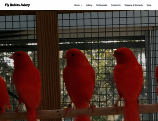 companionparrotonline.com screenshot