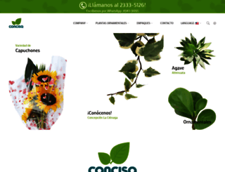 concisa.com.gt screenshot