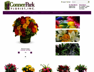connerpark.com screenshot